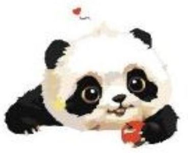 Malowanie Po Numerkach Creative Adults Panda