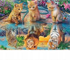 Zdjęcie Norimpex Diamentowa Mozaika Koty I Ich Odbicia 1004874 - Tychy