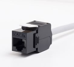 Netrack moduł keystone Jack RJ45 kat. 6A UTP, beznarzędziowy