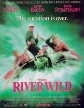 Film DVD Dzika Rzeka (The River Wild) (DVD) - zdjęcie 1