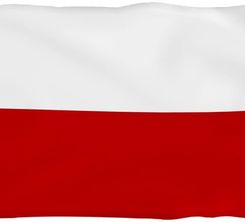 Zdjęcie Flaga Polski Biało-Czerwona - Poznań