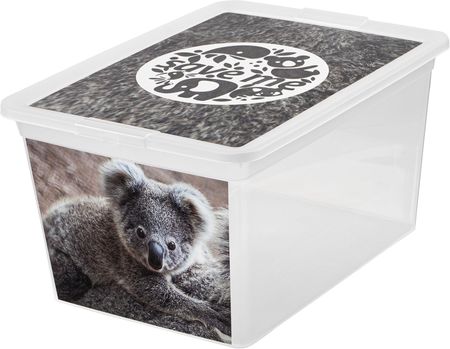 Branq Pojemnik Do Przechowywania X Box Deco Koala 15L (123161)