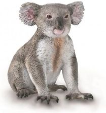 Zdjęcie Collecta Miś Koala - Szamotuły