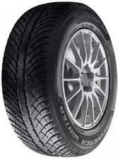 Cooper DISCOVERER WINTER 205/55R17 95V