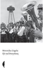 Zdjęcie UFO nad Bratysławą - Środa Śląska