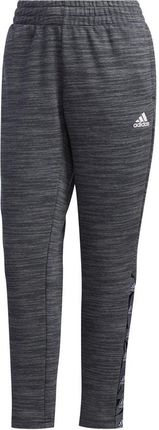 Spodnie damskie adidas Essentials Tape Pant szare GE1132