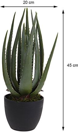 protein aloe vera Hydrate & Soften Shampoo with Aloe Vera & Vegan Protein main image 0