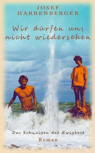 Wir Dürfen Uns Nicht Wiedersehen - Literatura Obcojęzyczna - Ceny I ...