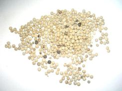 Zdjęcie Rafex Pieprz biały ziarnisty 1kg - Łęczna