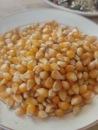 Rafex Popcorn ziarno kukurydzy węgry 1kg