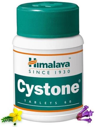 Himalaya Cystone 60tabl