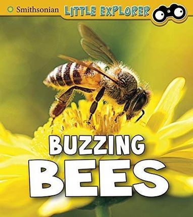 Insect Explorer: Buzzing Bees - Melissa Higgins Ks