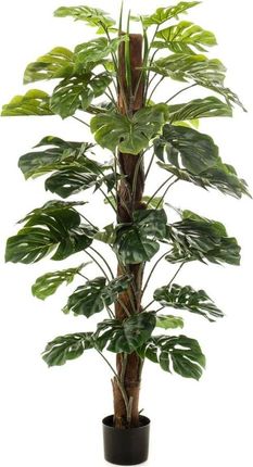 Emerald Emerald Sztuczna monstera na słupku, 150 cm