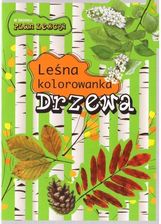 Zdjęcie Leśna kolorowanka. Drzewa - Wrocław