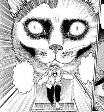 Zdjęcie Junji Ito's Cat Diary: Yon & Mu Collector's Edition - Wrocław