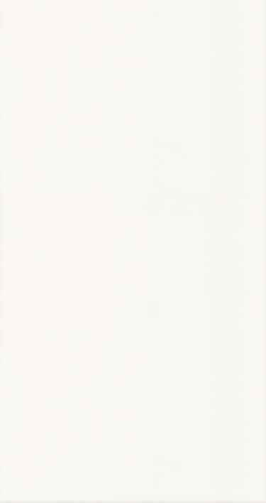 Płytki Ceramika Color Java White Płytka Ścienna Rekt. 25X75 Gat. 2 ...