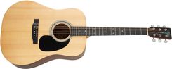 Sigma Guitars DT-STE
