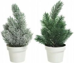 Zdjęcie Drzewko świąteczne w doniczce białej 20cm - Pilica