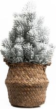 Zdjęcie Drzewko świąteczne ośnieżone 28cm - Małogoszcz