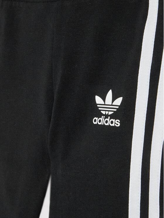 polanski botki damskie