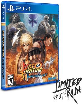 Art of Fighting Anthology (Gra PS4)