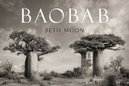 Kniha Baobab