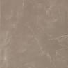 Płytki Casalgrande Padana Marmoker Pulpis Tortora 60x60 Lucida - Opinie ...