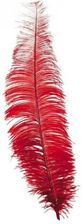 Zdjęcie Guirca Duże Strusie Pióro 40cm Czerwone (PIORO6665G) - Łódź