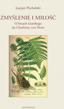 Zmyślenie i miłość O listach Goethego do Charlotty von Stein (MOBI)