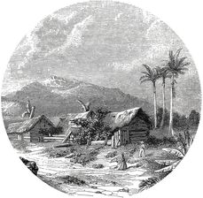 Zdjęcie Wallart Okrągła Fototapeta Landscape Of Guadeloupe, 190 Cm - Sucha Beskidzka