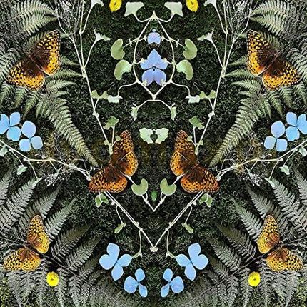 Jean-Michael Blais: Aubades [Winyl]