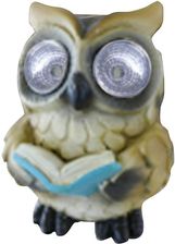 Zdjęcie Merkury Market (MR_1706571) - Koszalin