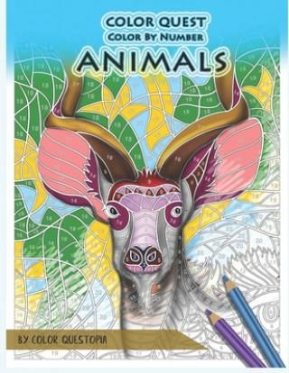 Color Quest Color by Number Animals: Jumbo Adult Coloring Book for ...