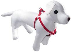 Zdjęcie Dino Szelki Taśma Regulowana 30Mm 70-110Cm Czerwona - Pszczyna