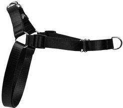 Zdjęcie Dino Szelka Easy Walk 30Mm 75-125Cm Czarna - Pszczyna