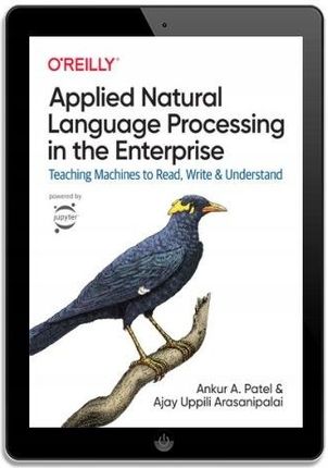Applied Natural Language Processing in the