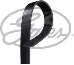 Zdjęcie Gates Pasek Klinowy Wielorowkowy 8Pk1520Hd - Myślenice