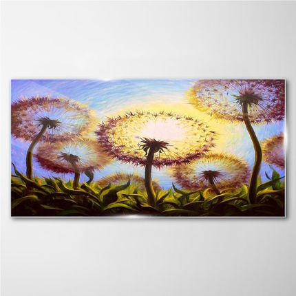 Coloray Obraz na Szkle Abstrakcja Kwiaty Mlecze 140x70 cm (OSH2S388162099140X70CM)