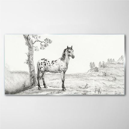 Coloray Obraz na Szkle Rysunek Zwierzęta Koń 140x70 cm (OSH2S481592140X70CM)
