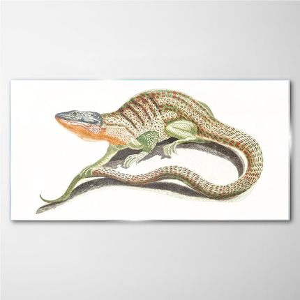 Coloray Obraz Szklany Zwierzę Jaszczurka 120x60 cm (OSH2S515289120X60CM)