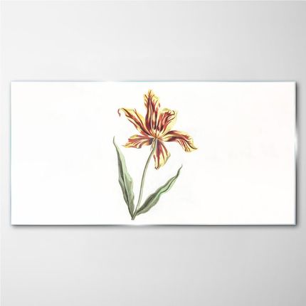 Coloray Obraz na Szkle Kwiaty Rośliny 120x60 cm (OSH2S515358120X60CM)