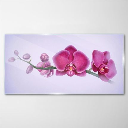 Coloray Obraz na Szkle Akwarela kwiat gałąź orchidea 140x70 cm (OSH2S218905717140X70CM)