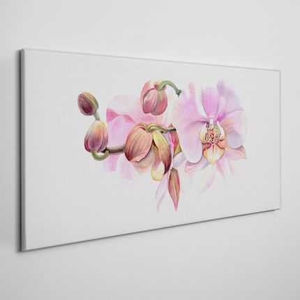 Coloray Obraz Canvas Akwarela kwiat orchidea 120x60 cm (OCH195022433120X60CM)