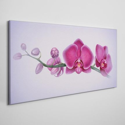 Coloray Obraz na Płótnie Akwarela kwiat gałąź orchidea 140x70 cm (OCH218905717140X70CM)
