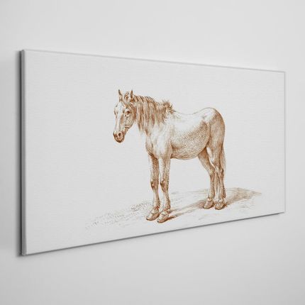 Coloray Obraz Canvas Rysunek Zwierzę Koń 140x70 cm (OCH481606140X70CM)