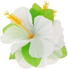 Zdjęcie Godan Przypinka Hawajska Duży Hawajski Kwiat Biała (PHAW35525) - Olsztyn