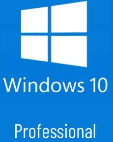 Microsoft Windows 10 Professional Pl 64-Bitowy 1Pk Dsp Oei Dvd (FQC08918)