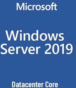 Microsoft Windows Server Datacenter 2019 64Bit English 1Pk Dsp Oei Dvd 16 Core (P7109023)