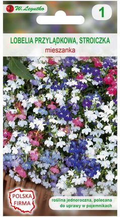 Lobelia Przylądkowa Stroiczka Mieszanka Nasiona Tradycyjne 0.1 G