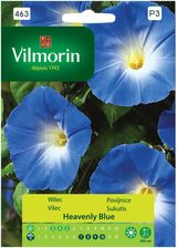 Zdjęcie Wilec Heavenly Blue Nasiona Tradycyjne 1G Vilmorin - Kłodzko
